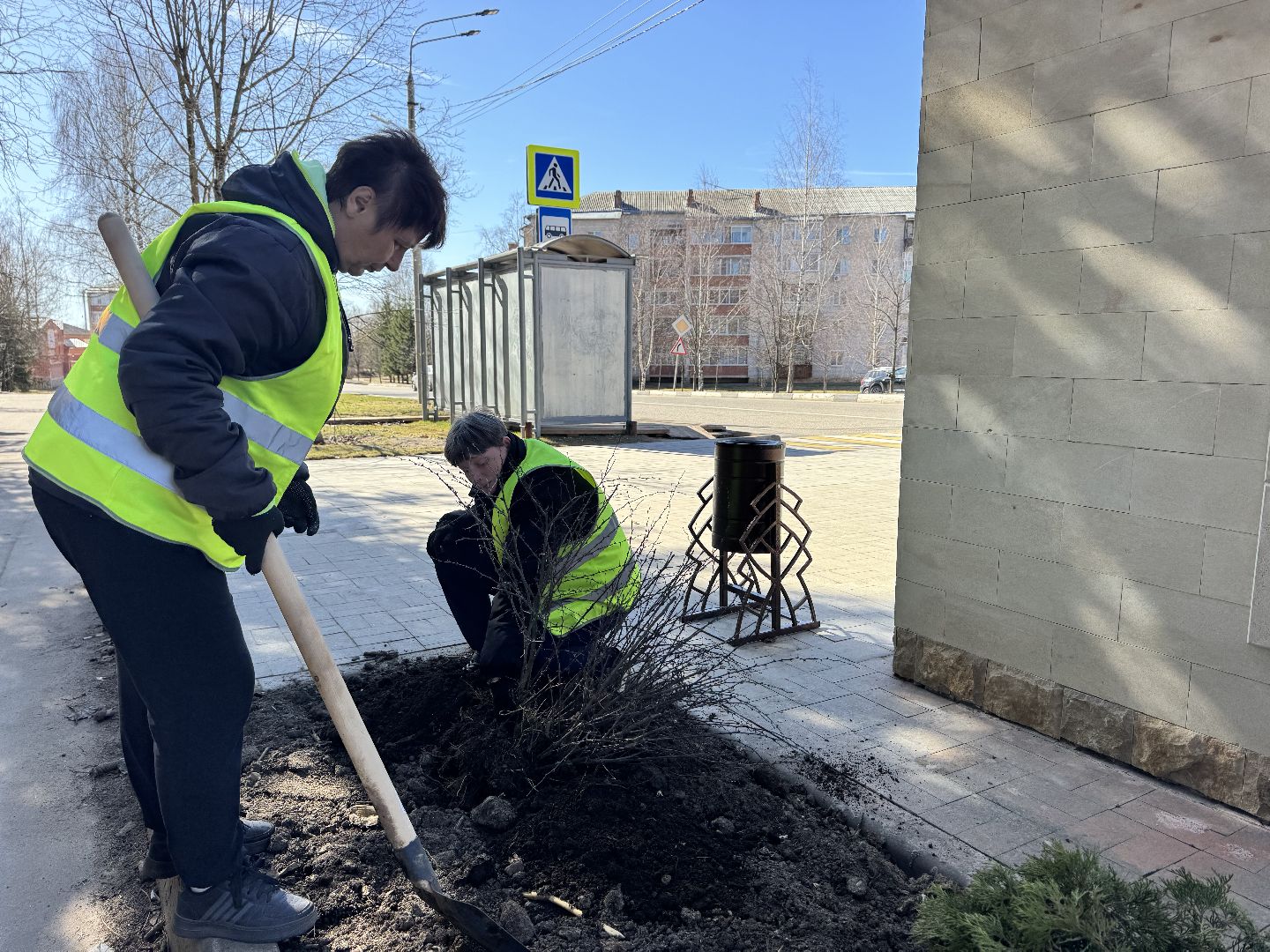 шаховская, вазоны, благоуйстройство,