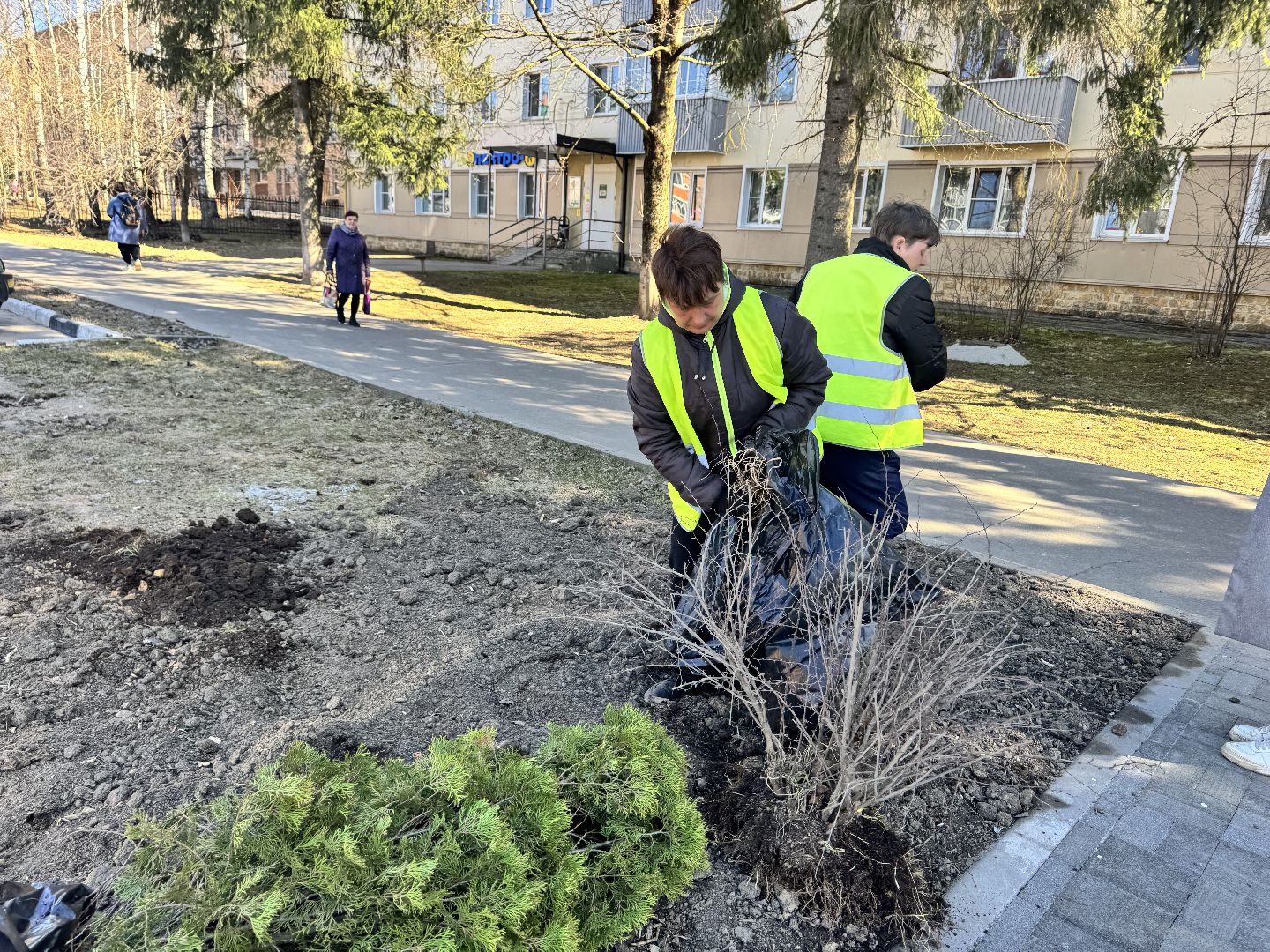 шаховская, вазоны, благоуйстройство,