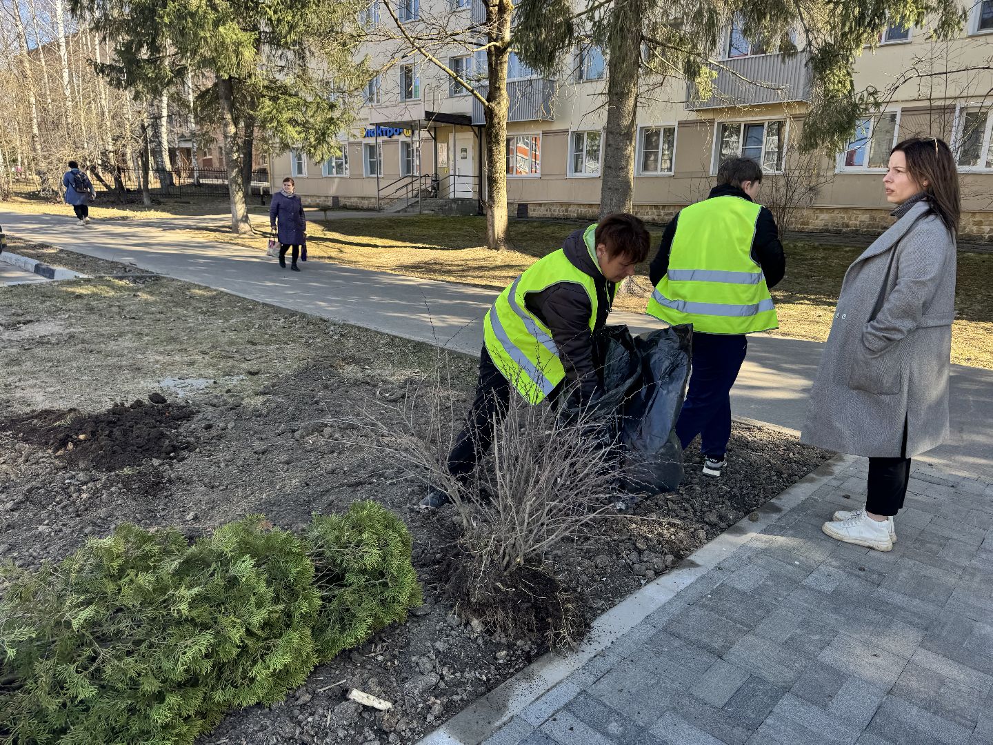 шаховская, вазоны, благоуйстройство,