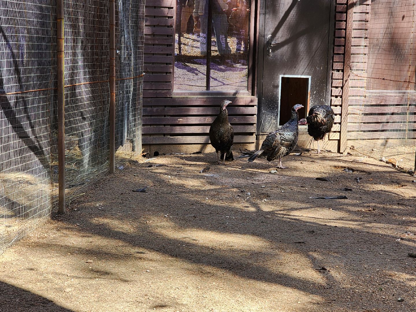 сергиев посад, пересвет, парк-отель, сафари-парк, Эко-тропа,