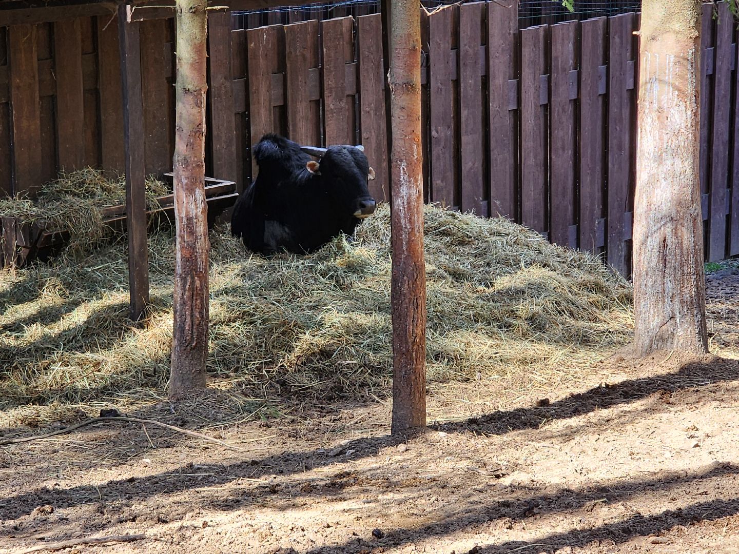 сергиев посад, пересвет, парк-отель, сафари-парк, Эко-тропа,