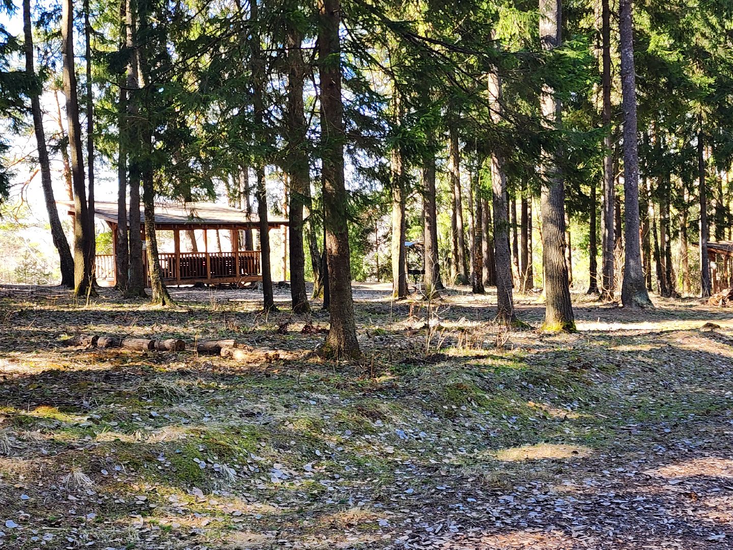 сергиев посад, пересвет, парк-отель, сафари-парк, Эко-тропа,