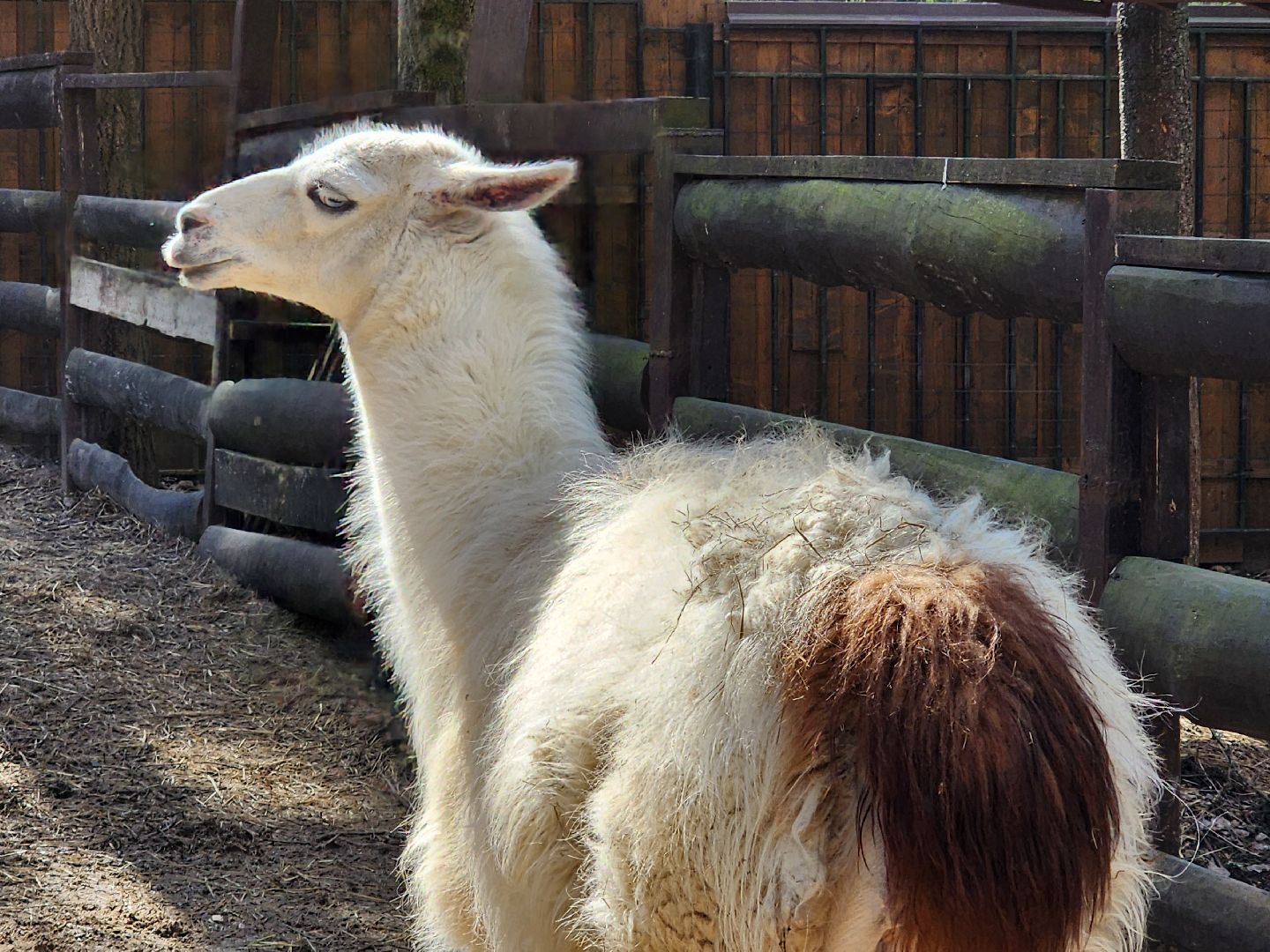 сергиев посад, пересвет, парк-отель, сафари-парк, Эко-тропа,