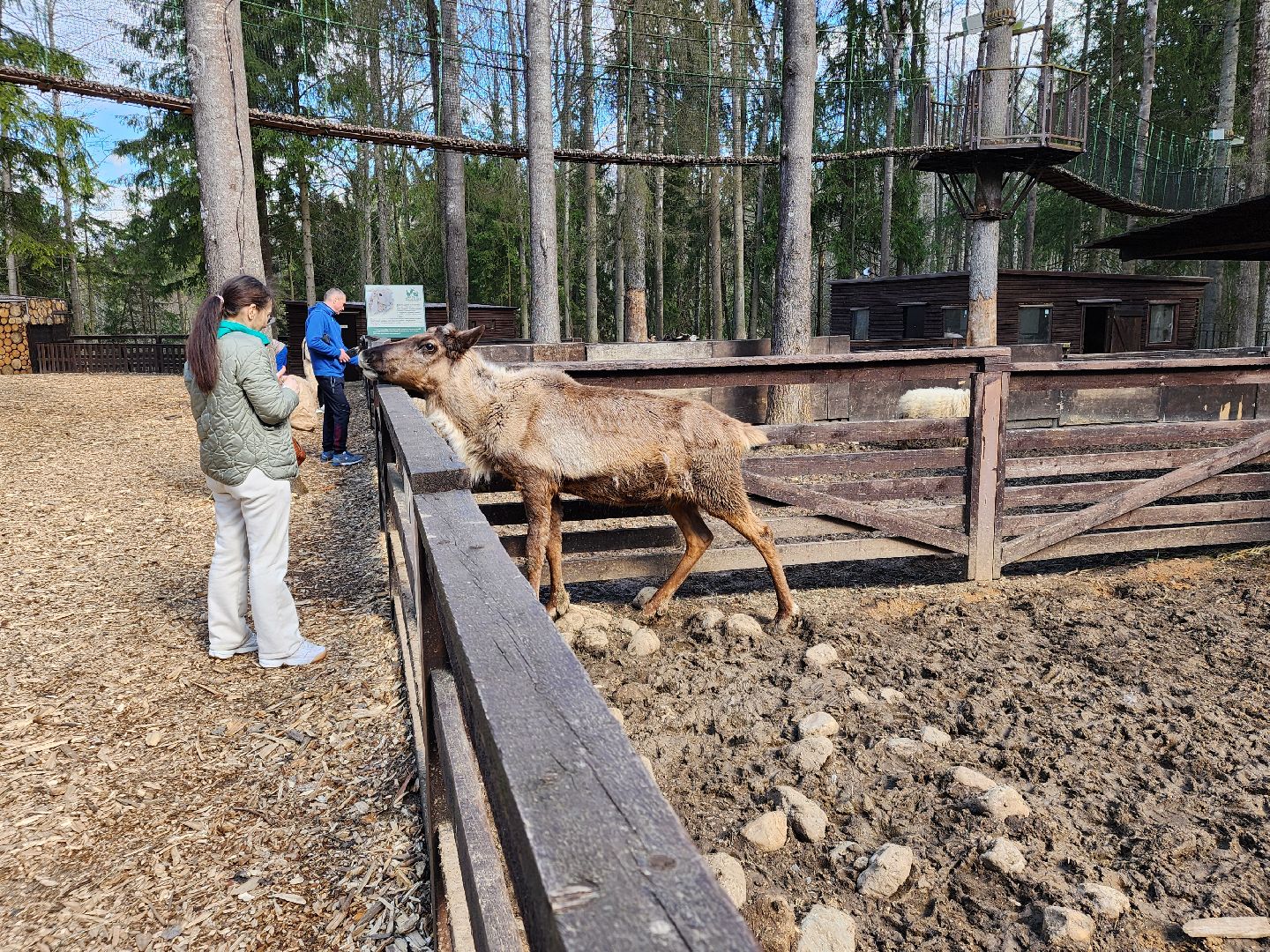 сергиев посад, пересвет, парк-отель, сафари-парк, Эко-тропа,