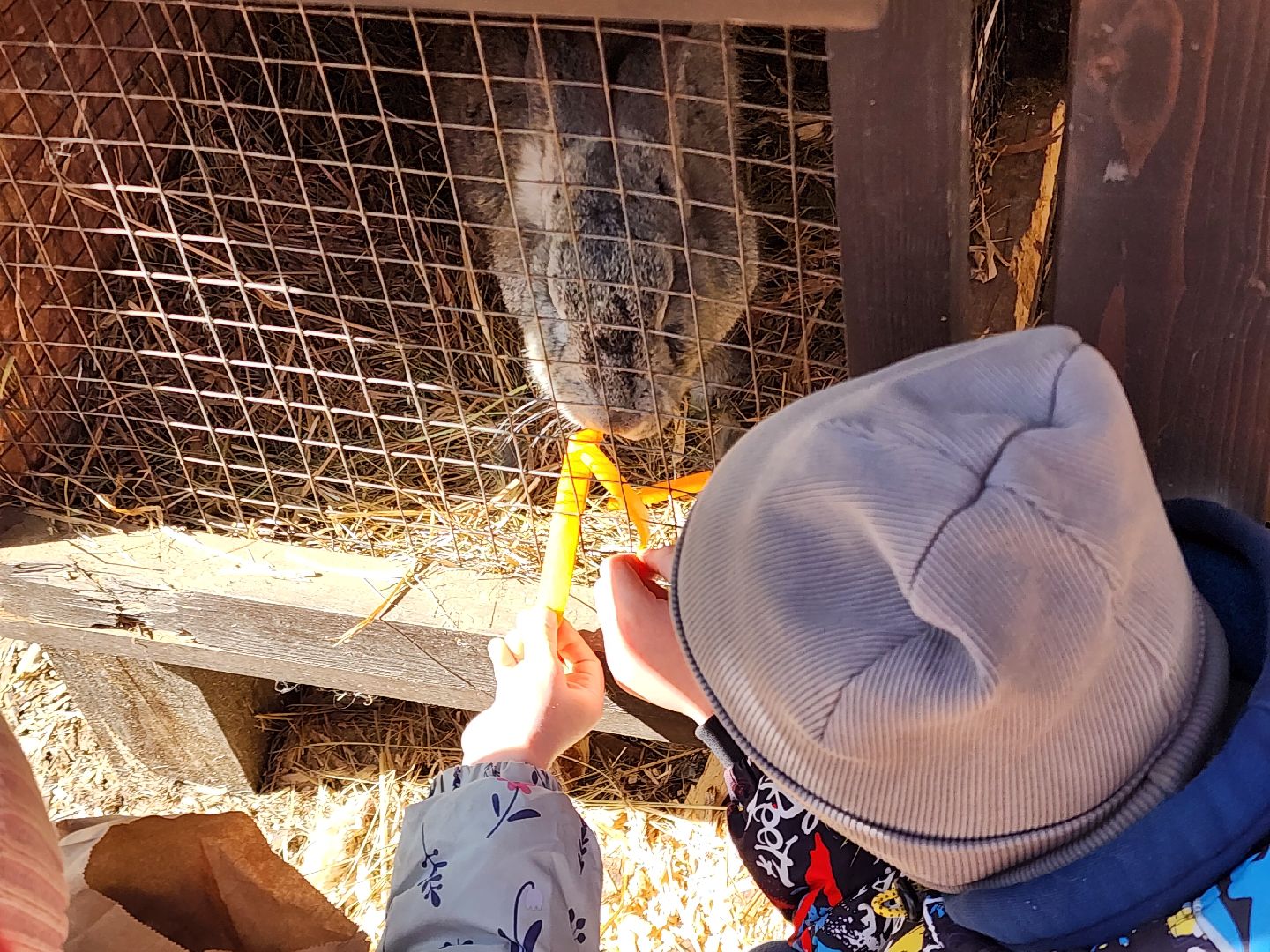 сергиев посад, пересвет, парк-отель, сафари-парк, Эко-тропа,