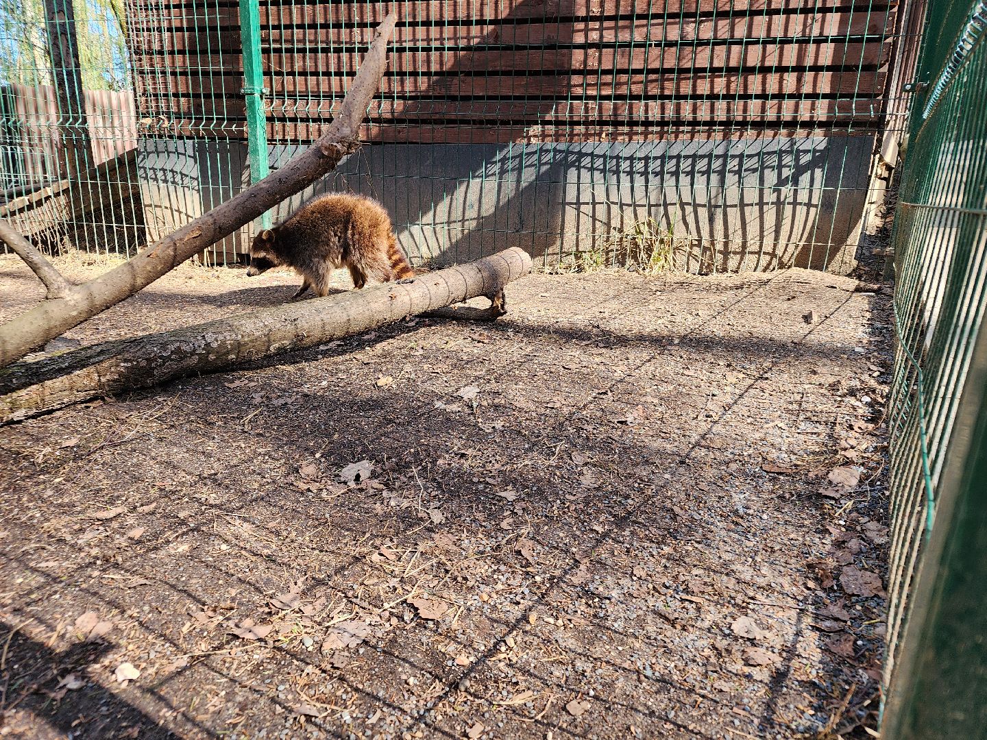 сергиев посад, пересвет, парк-отель, сафари-парк, Эко-тропа,