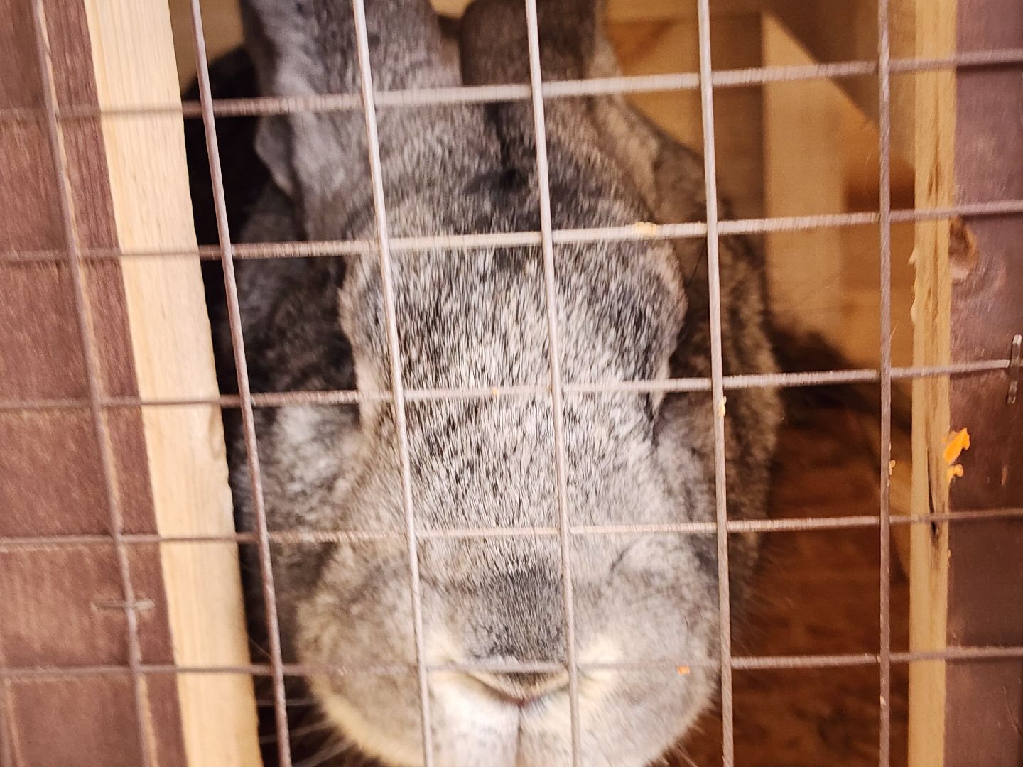 сергиев посад, пересвет, парк-отель, сафари-парк, Эко-тропа,