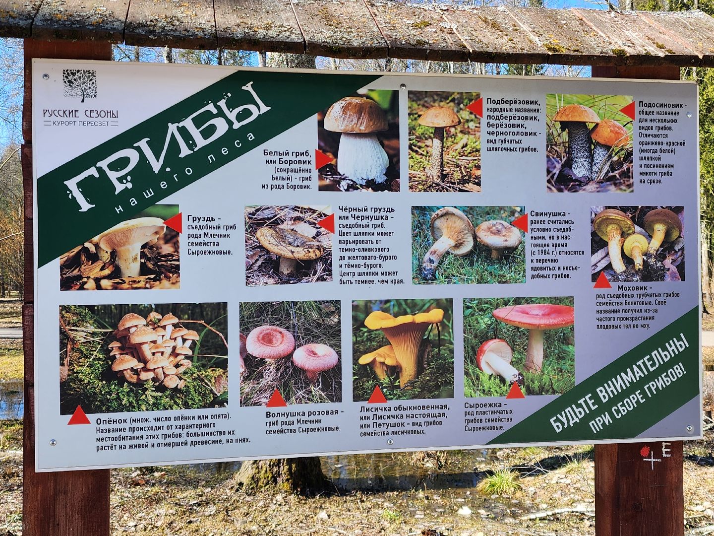 сергиев посад, пересвет, парк-отель, сафари-парк, Эко-тропа,