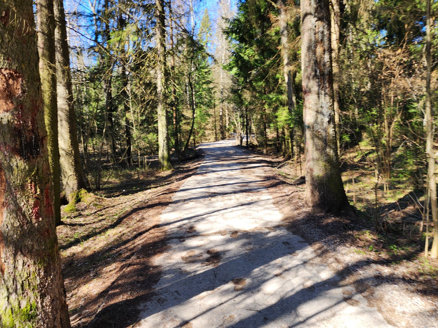 сергиев посад, пересвет, парк-отель, сафари-парк, Эко-тропа,