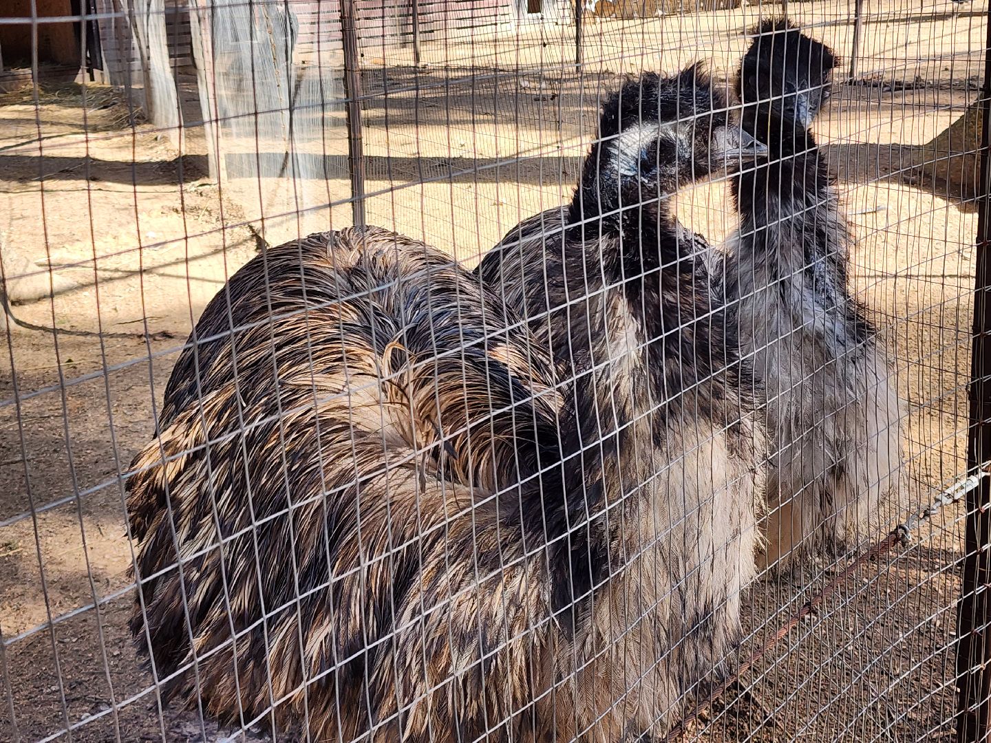 сергиев посад, пересвет, парк-отель, сафари-парк, Эко-тропа,