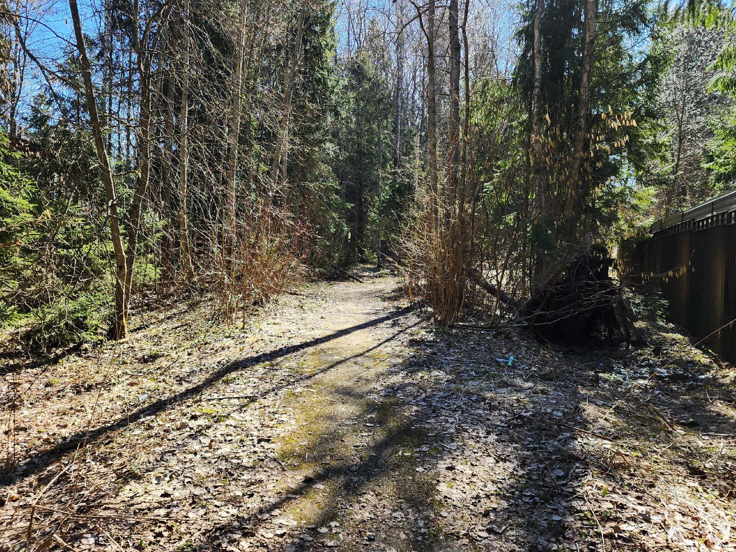 сергиев посад, пересвет, парк-отель, сафари-парк, Эко-тропа,