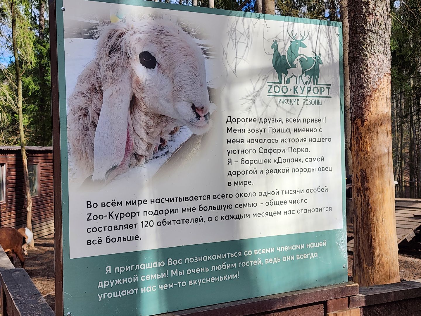 сергиев посад, пересвет, парк-отель, сафари-парк, Эко-тропа,