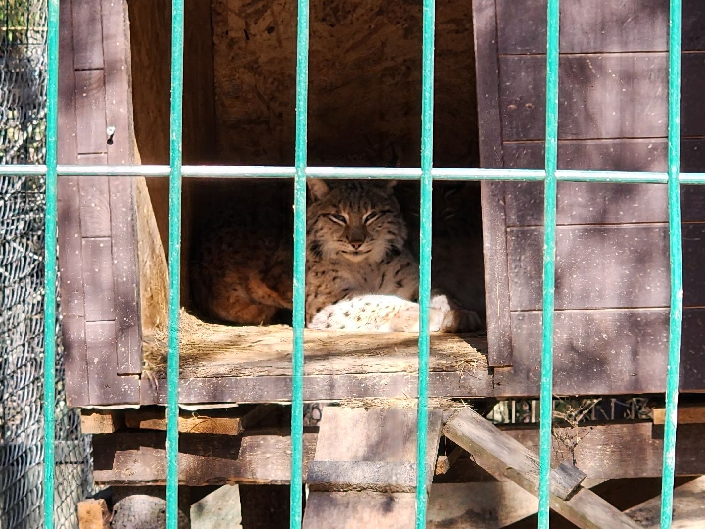 сергиев посад, пересвет, парк-отель, сафари-парк, Эко-тропа,