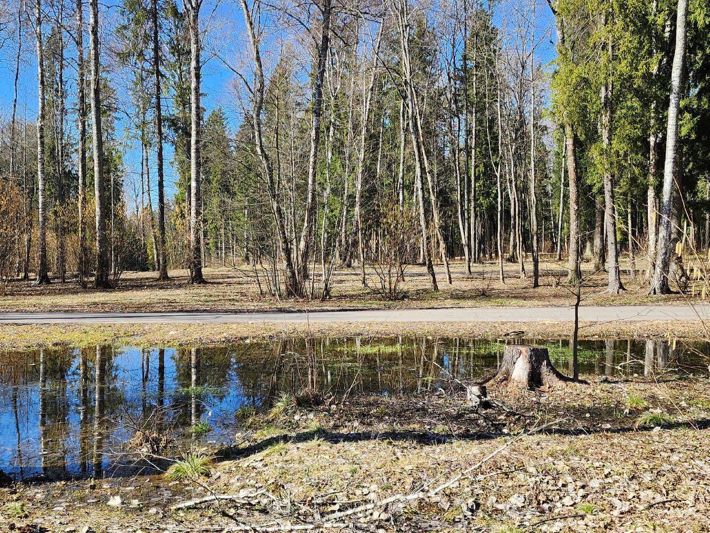сергиев посад, пересвет, парк-отель, сафари-парк, Эко-тропа,