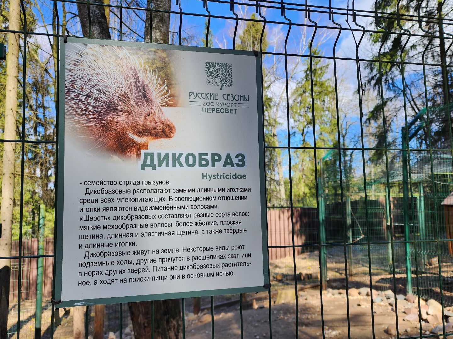 сергиев посад, пересвет, парк-отель, сафари-парк, Эко-тропа,