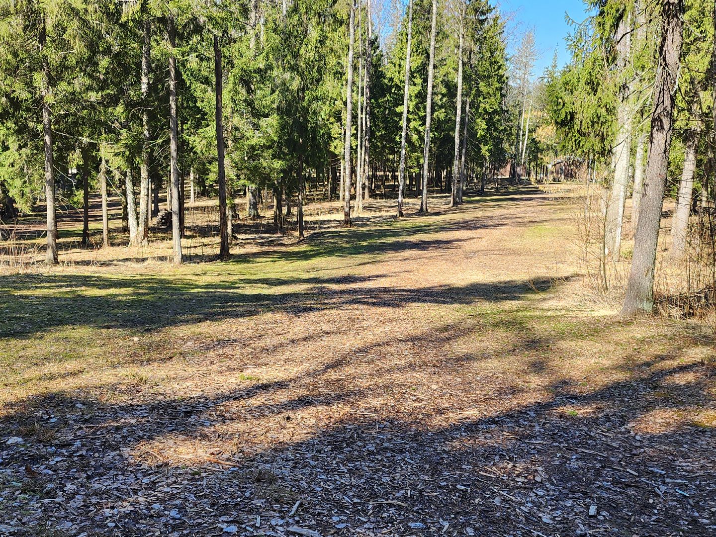 сергиев посад, пересвет, парк-отель, сафари-парк, Эко-тропа,