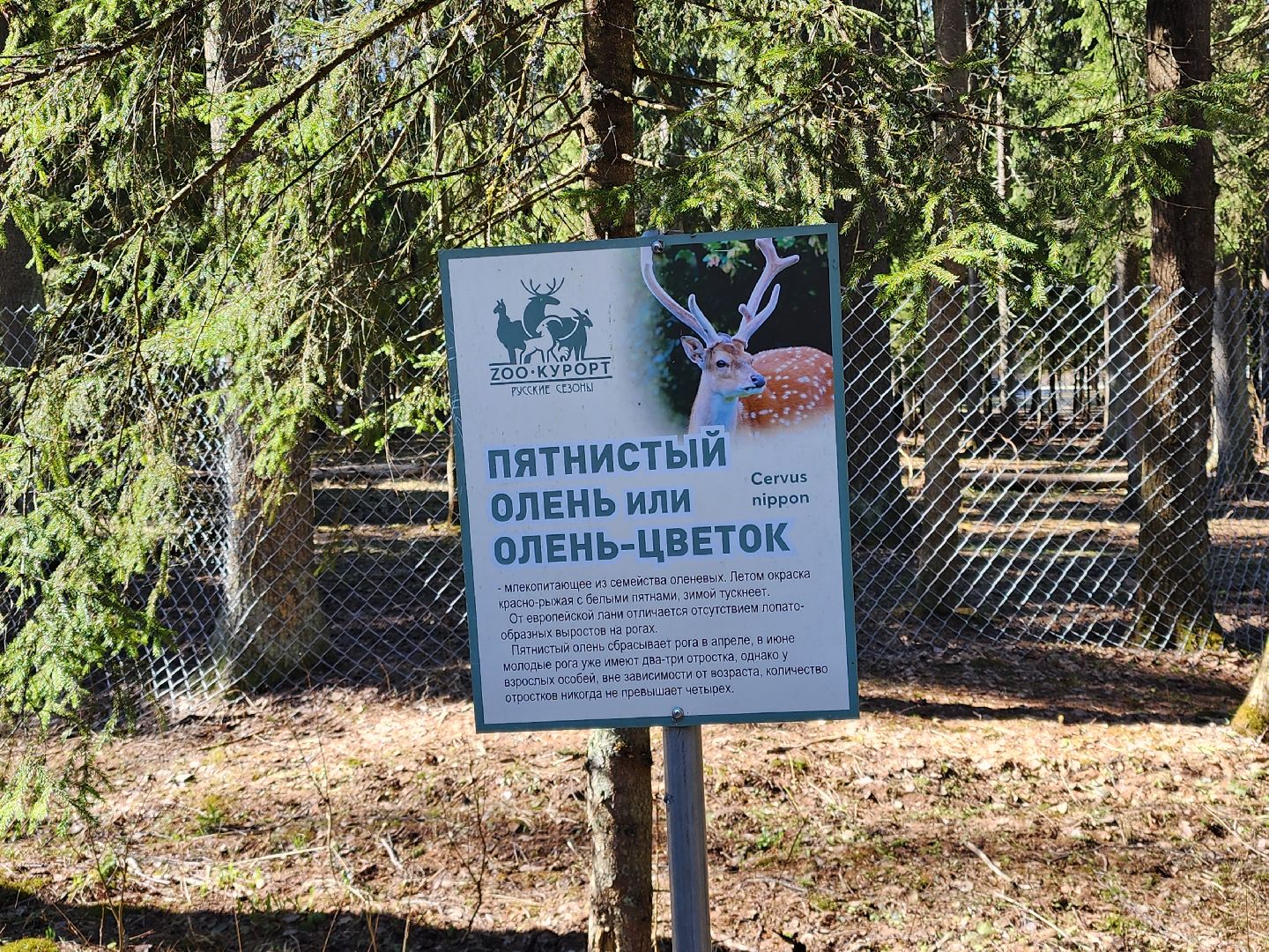 сергиев посад, пересвет, парк-отель, сафари-парк, Эко-тропа,