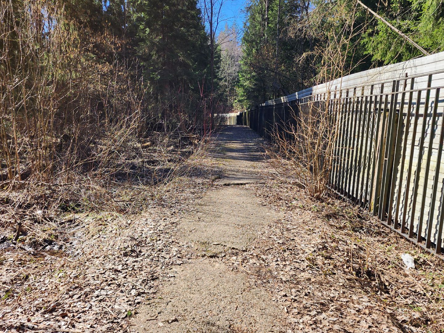 сергиев посад, пересвет, парк-отель, сафари-парк, Эко-тропа,