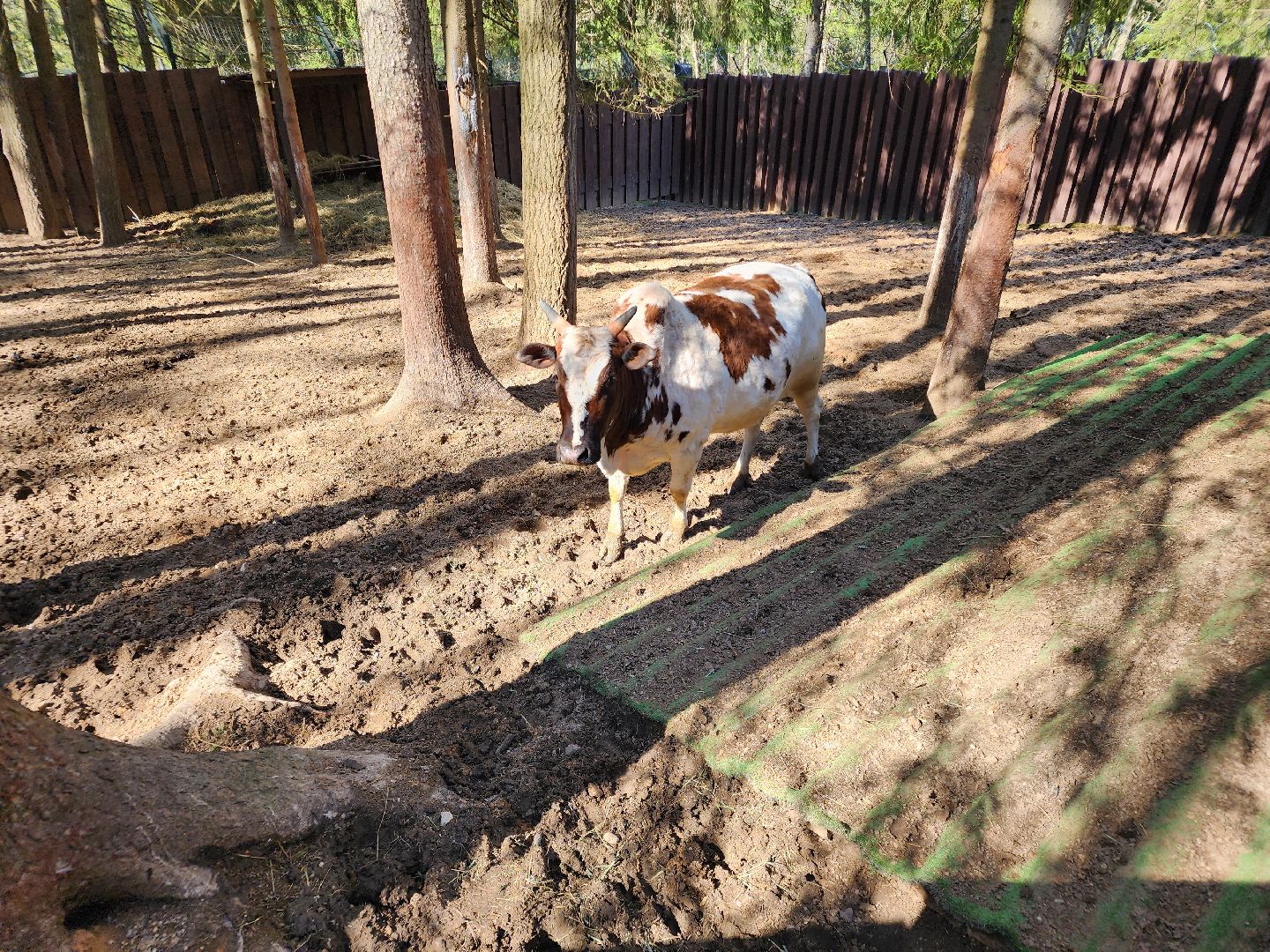 сергиев посад, пересвет, парк-отель, сафари-парк, Эко-тропа,