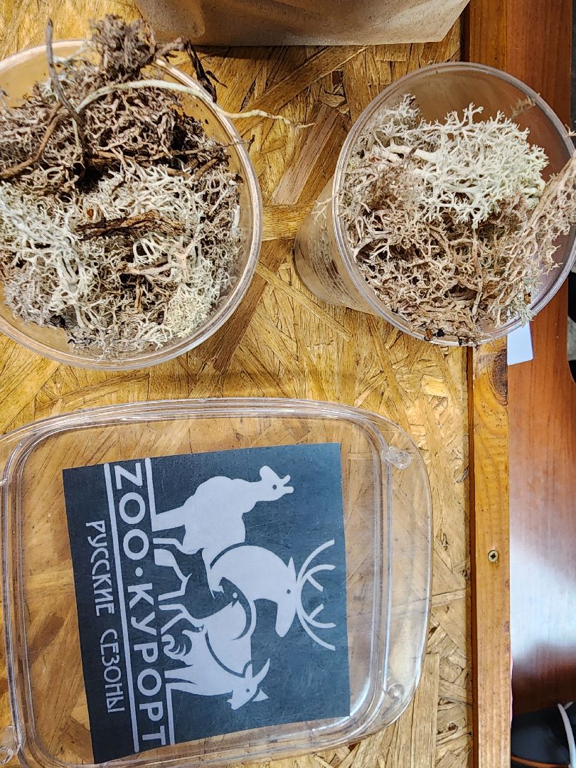 сергиев посад, пересвет, парк-отель, сафари-парк, Эко-тропа,