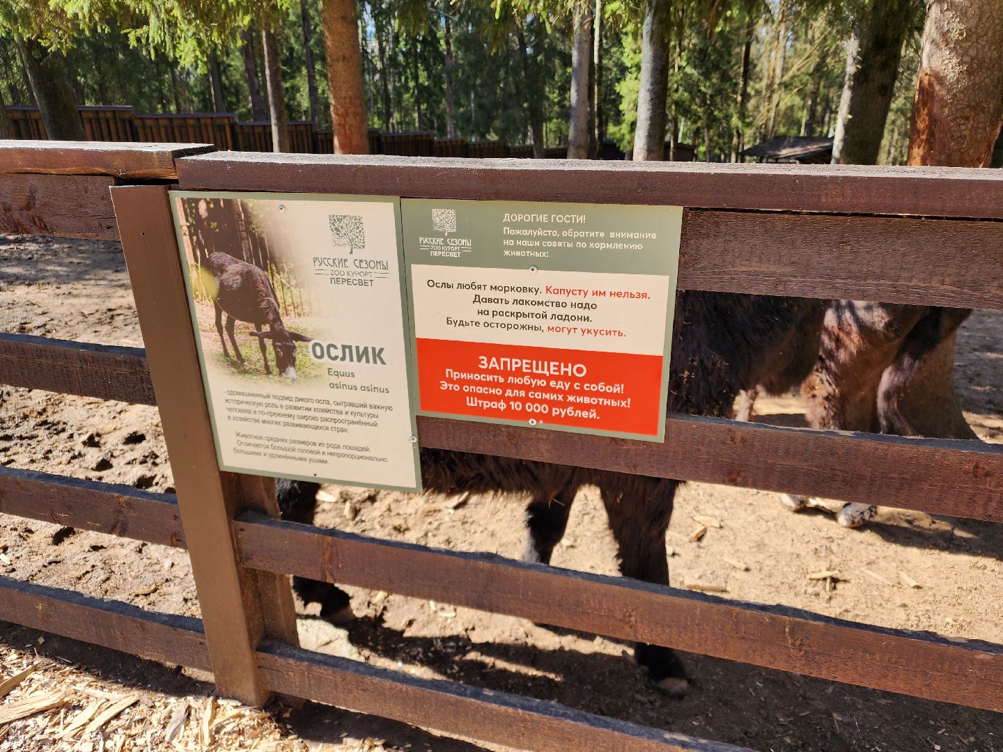 сергиев посад, пересвет, парк-отель, сафари-парк, Эко-тропа,