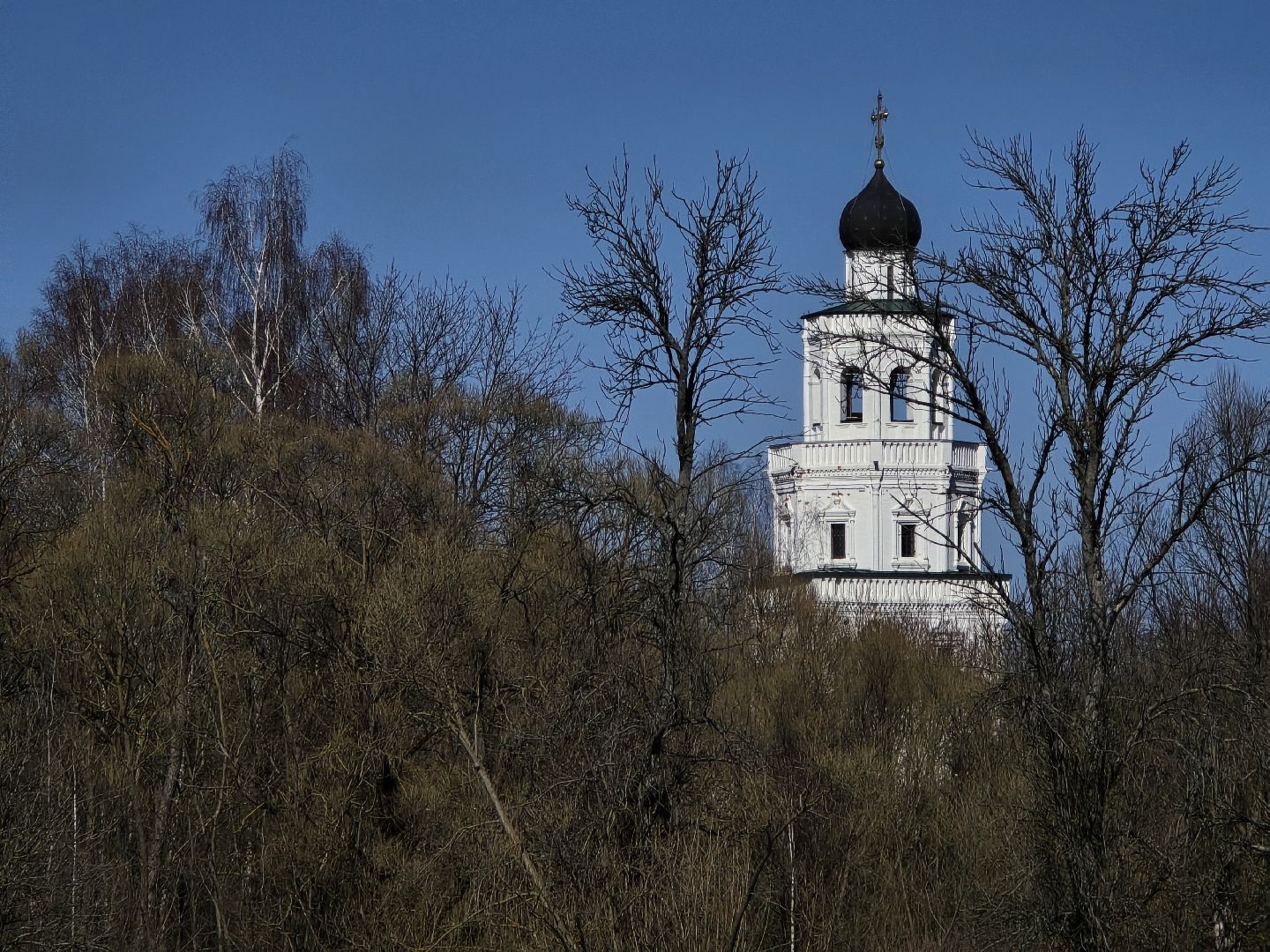 Коломна, лебеди,усадьба сенницы,
