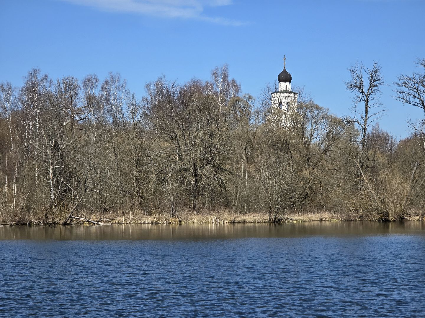 Коломна, лебеди,усадьба сенницы,