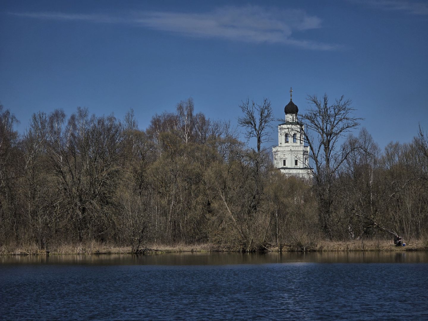 Коломна, лебеди,усадьба сенницы,