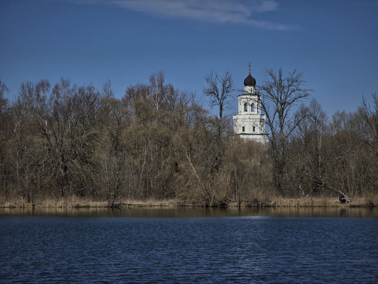 Коломна, лебеди,усадьба сенницы,