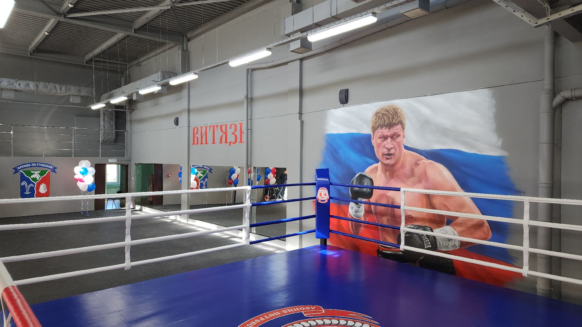 спорт, бокс, Лосино-петровский,