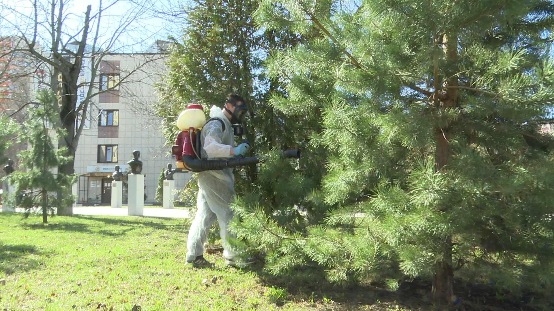 реутов, экология, клещи, обработка, иксодовые клещи,