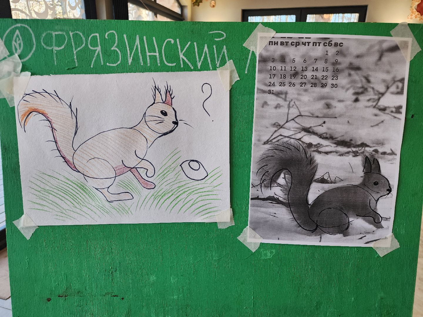 фрязино, лесопарк, изостудия, белки,