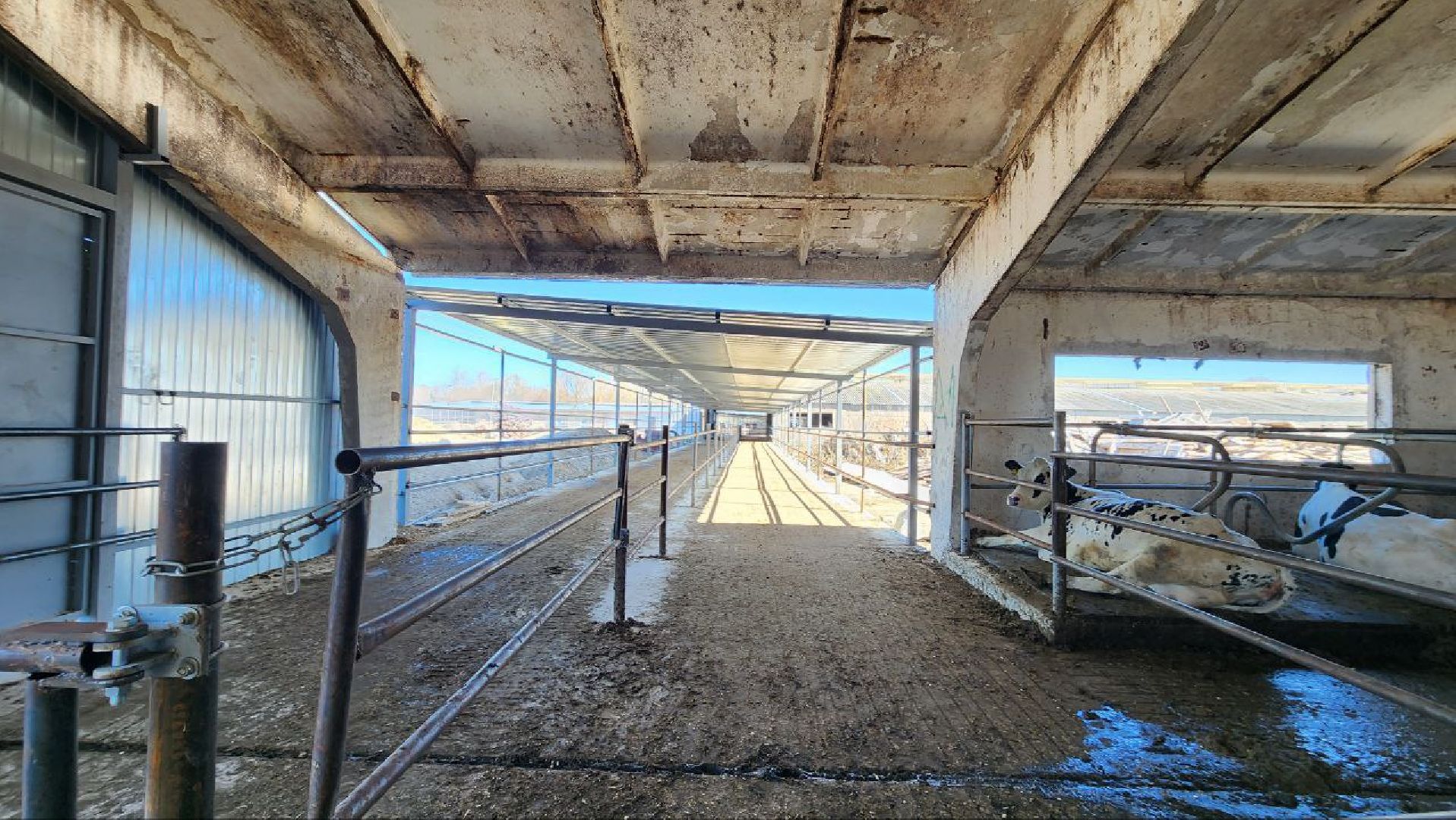 Луховицы, сельское хозяйство,