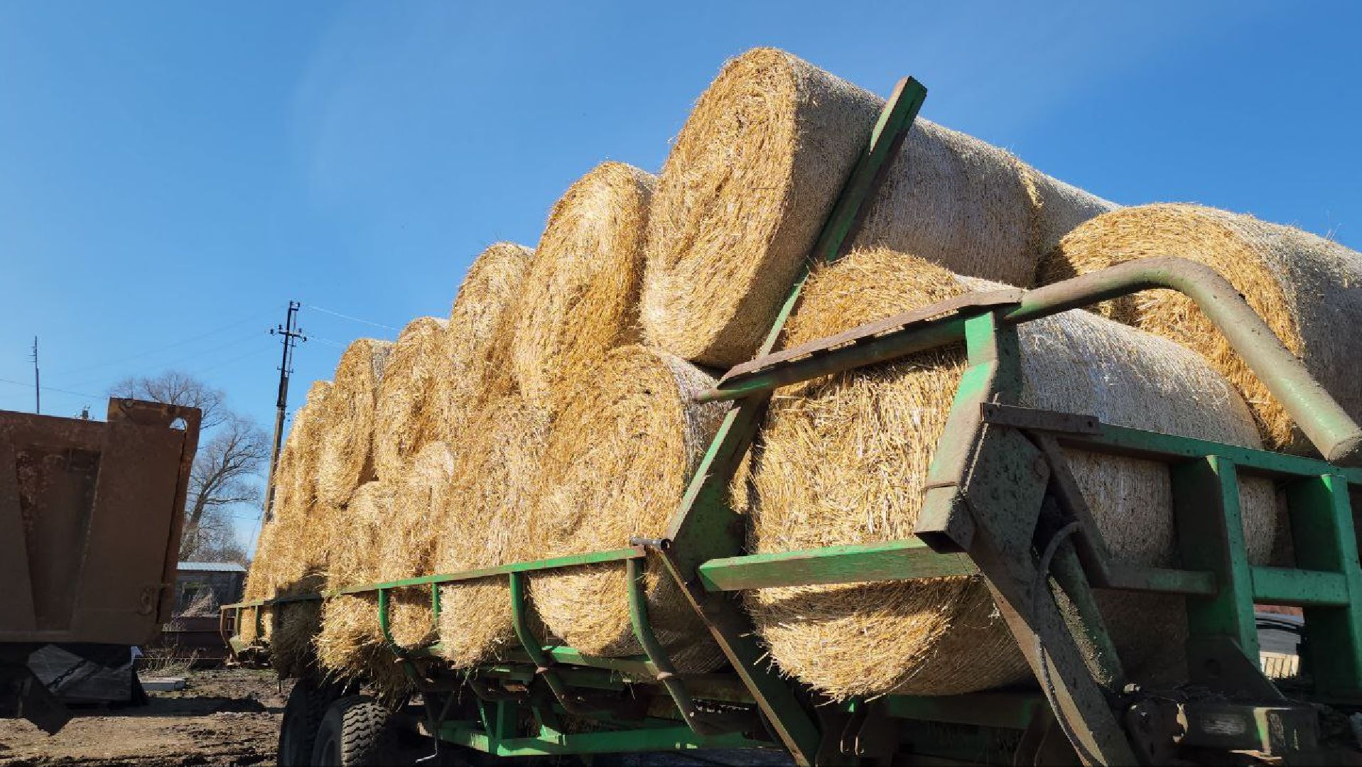 Луховицы, сельское хозяйство,