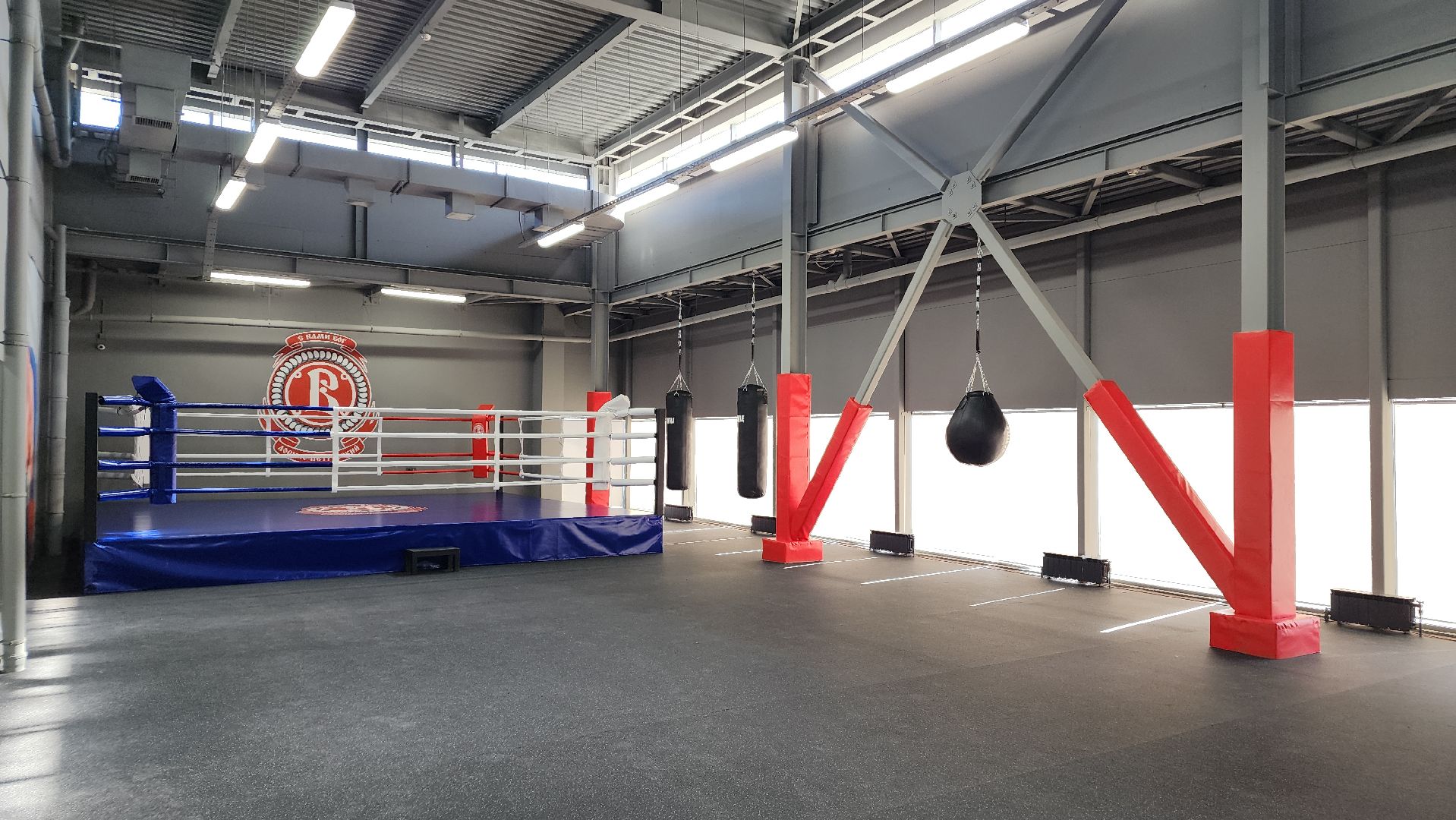 спорт, бокс, Лосино-Петровский,