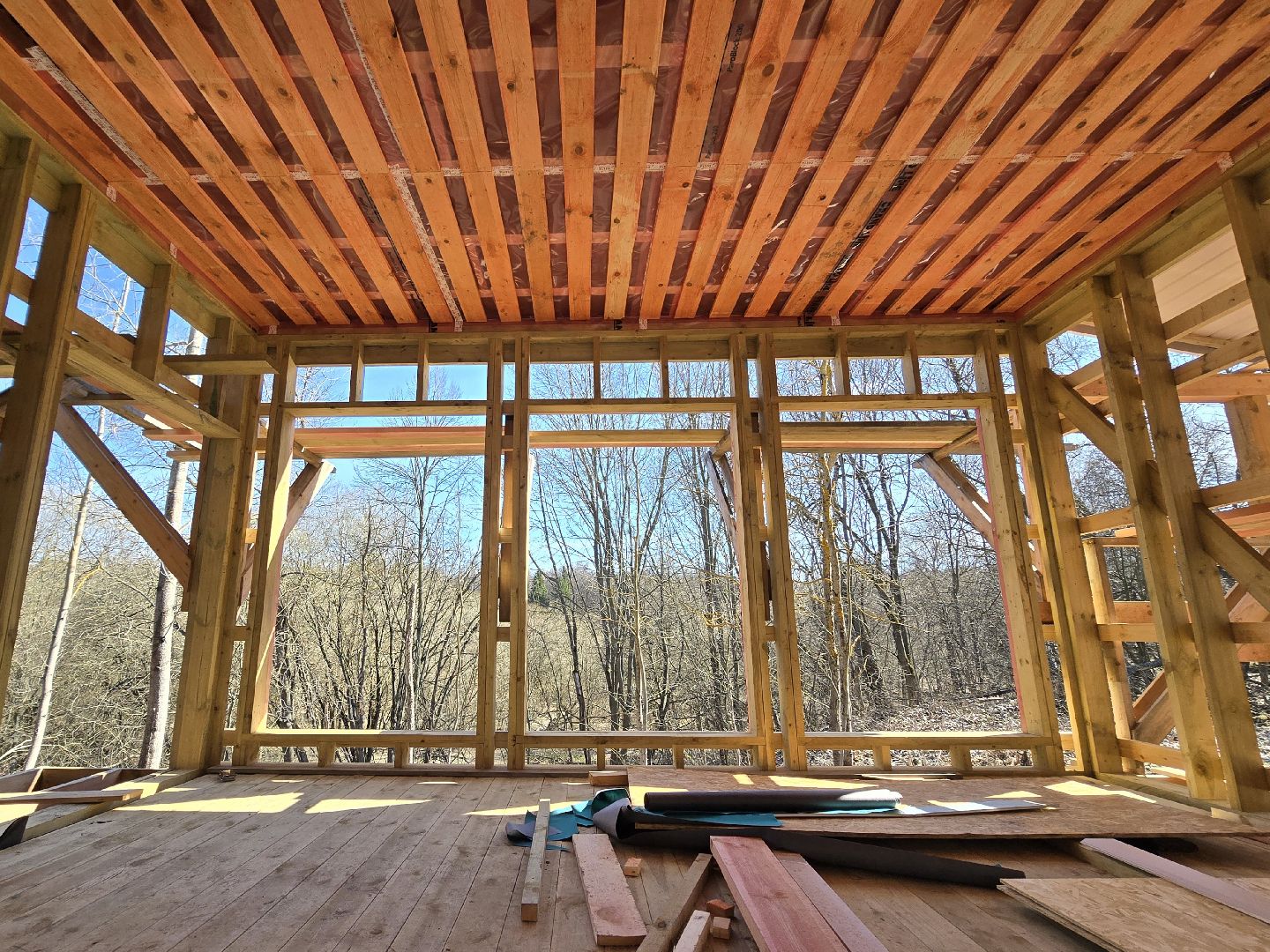 Коломна, усадьба сенницы, библиотека,