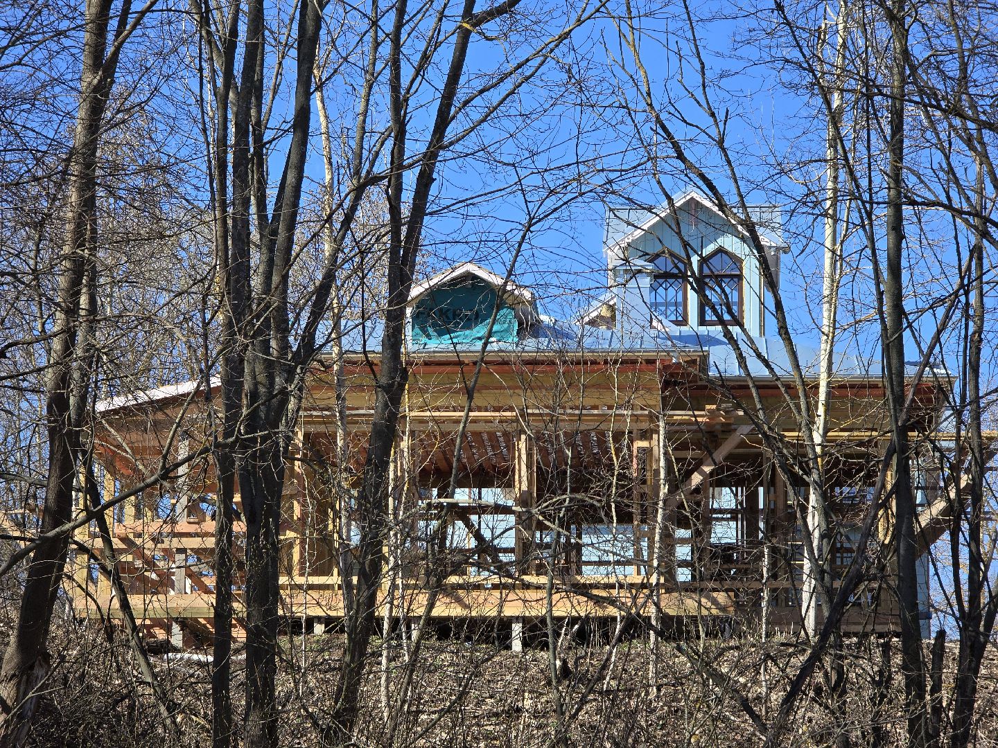 Коломна, усадьба сенницы, библиотека,