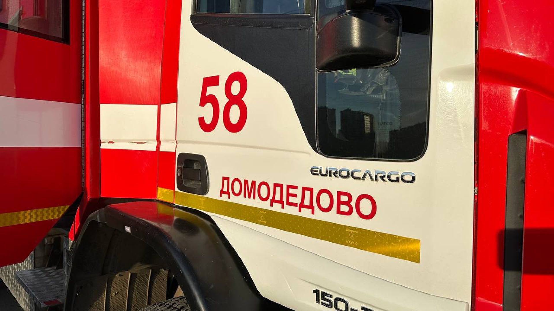 домодедово, пожар, тушение, горение травы,