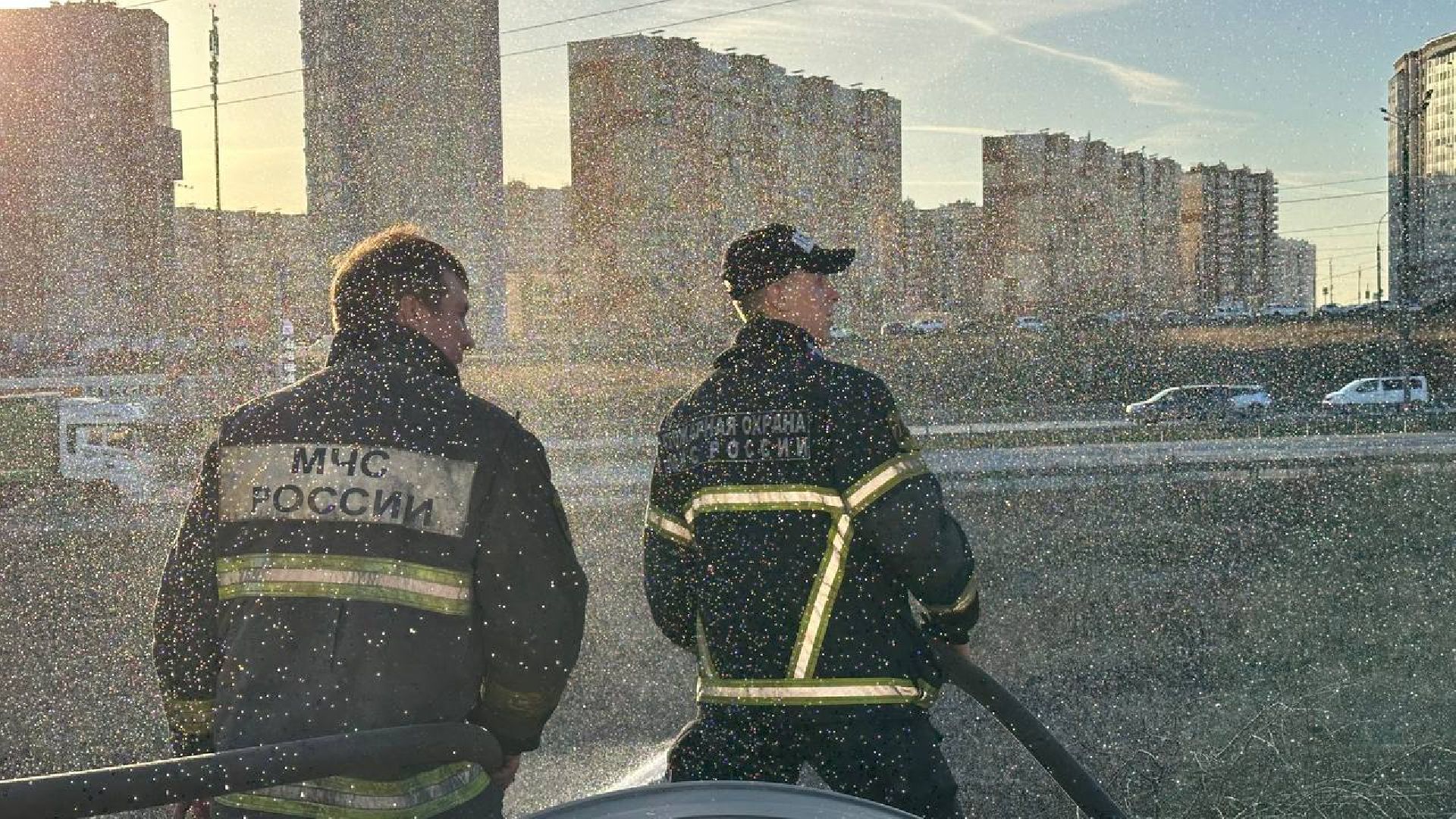 домодедово, пожар, тушение, горение травы,