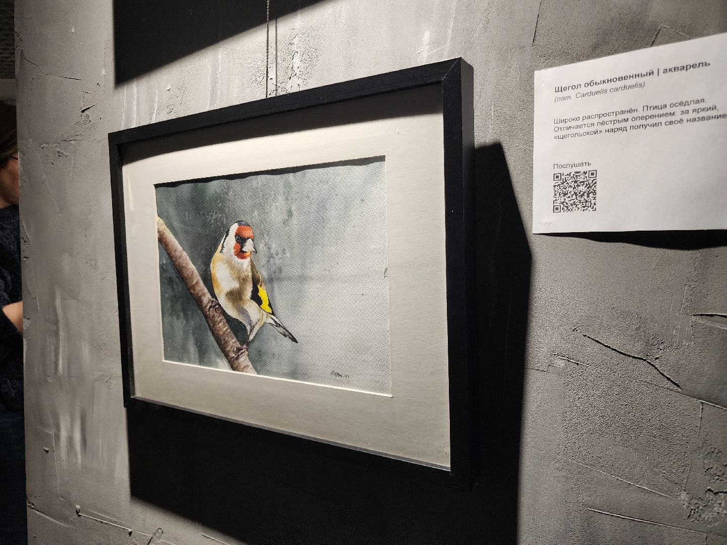 Черноголовка, Культура, Выставка картин,