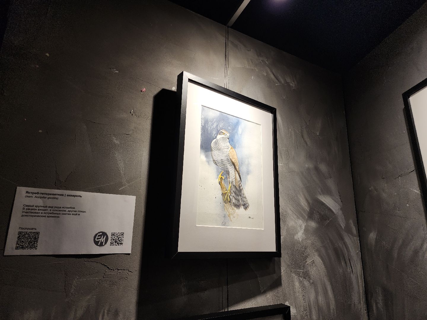 Черноголовка, Культура, Выставка картин,