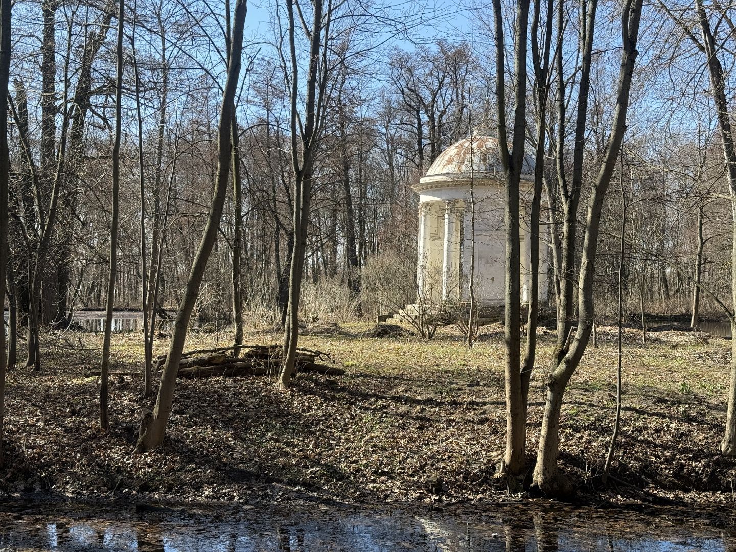 раменское, усадьба быково, культурное наследие, объект культурного наследия,