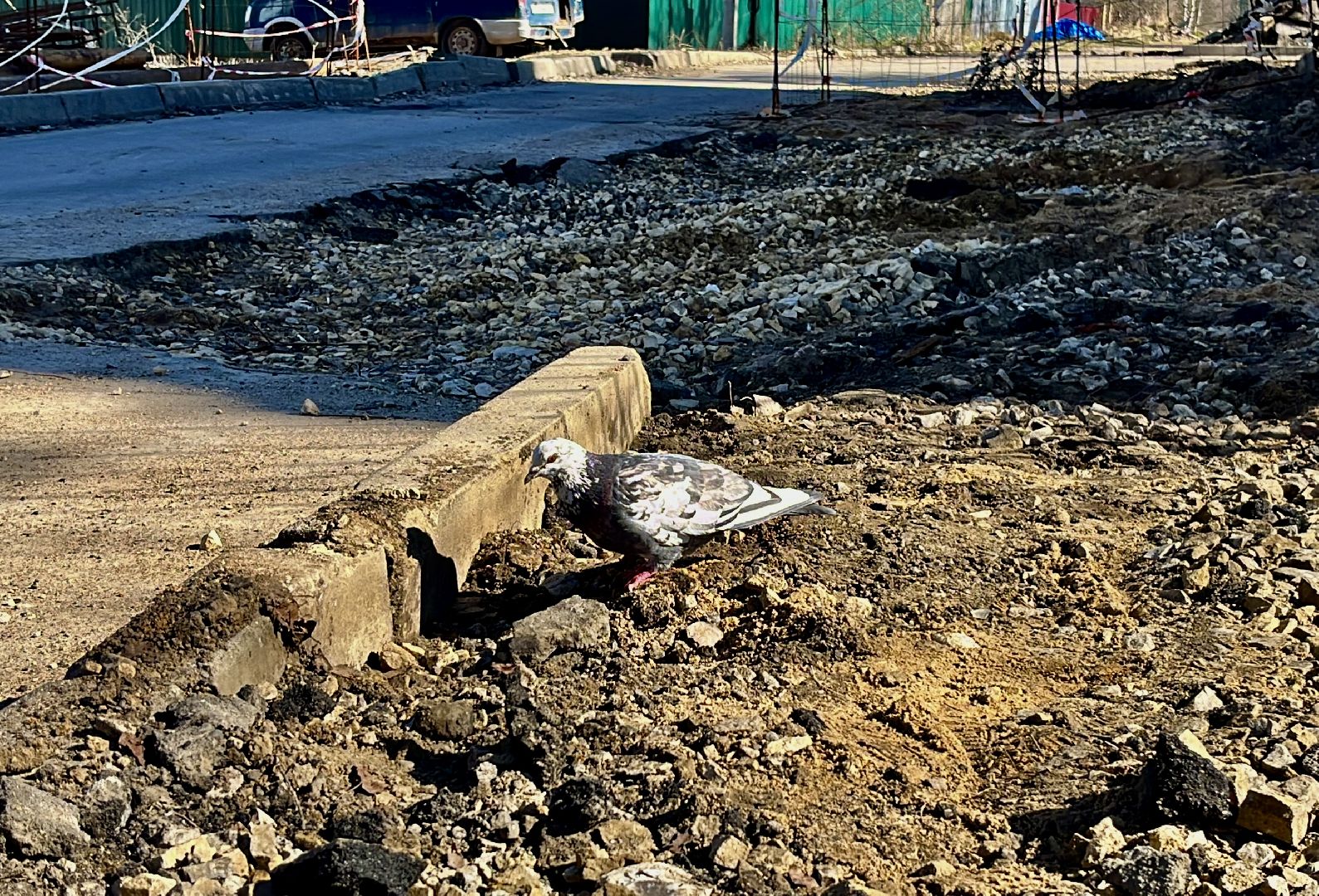 наро-фоминский городской округ, апрелевка, благоустройство, благоустройство дворов,