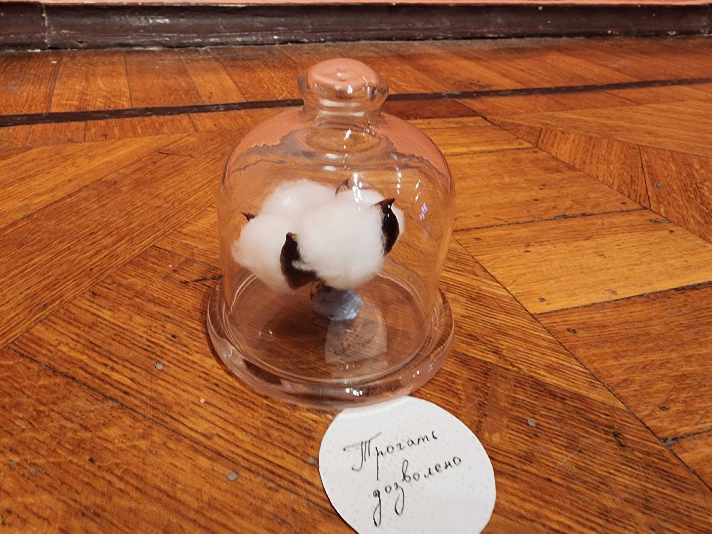 серпухов, подмосковье, сихм, квест,