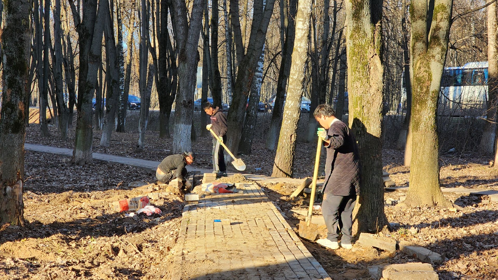 Пешеходные зоны, тропинки, Лобня,