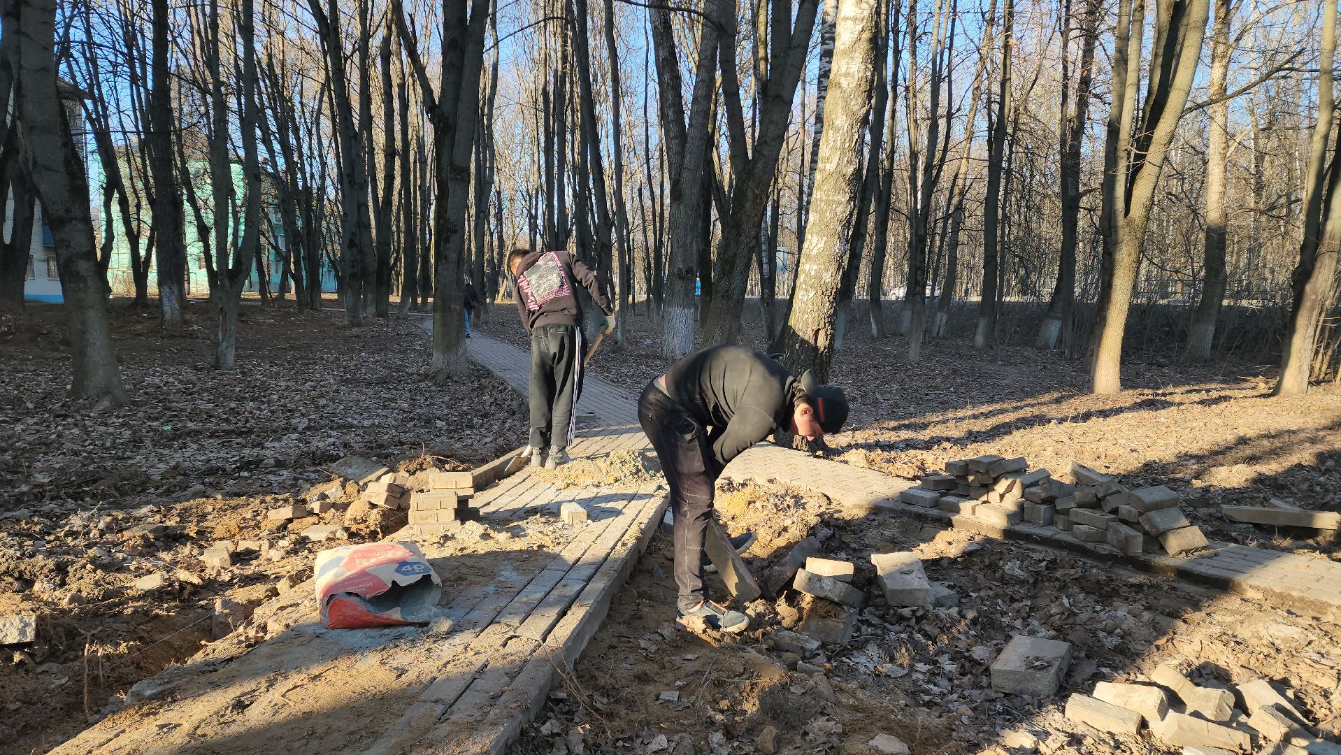 Пешеходные зоны, тропинки, Лобня,