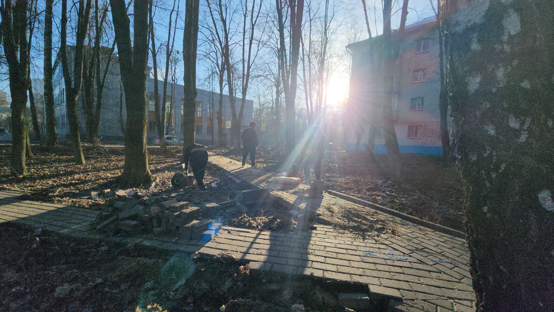 Пешеходные зоны, тропинки, Лобня,