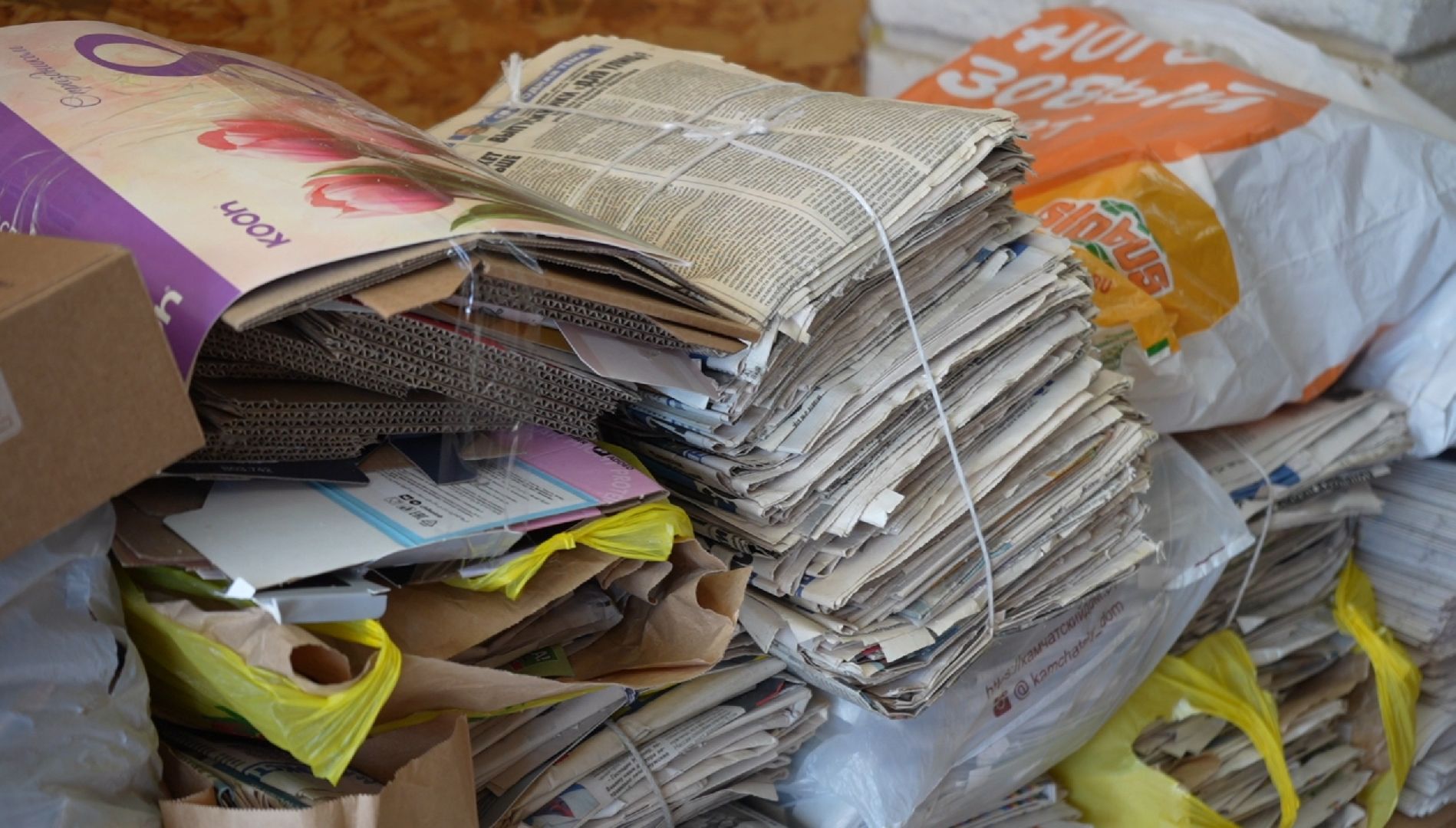 макулатура, сво,экологическая акция,