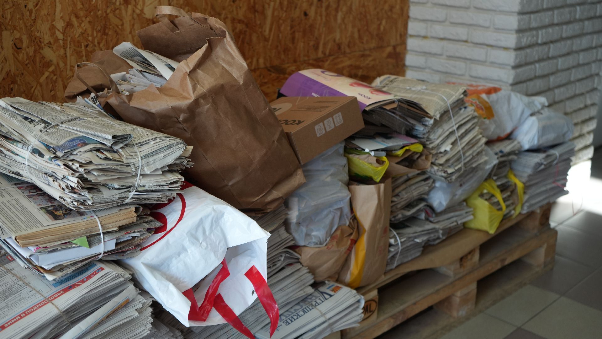 макулатура, сво,экологическая акция,