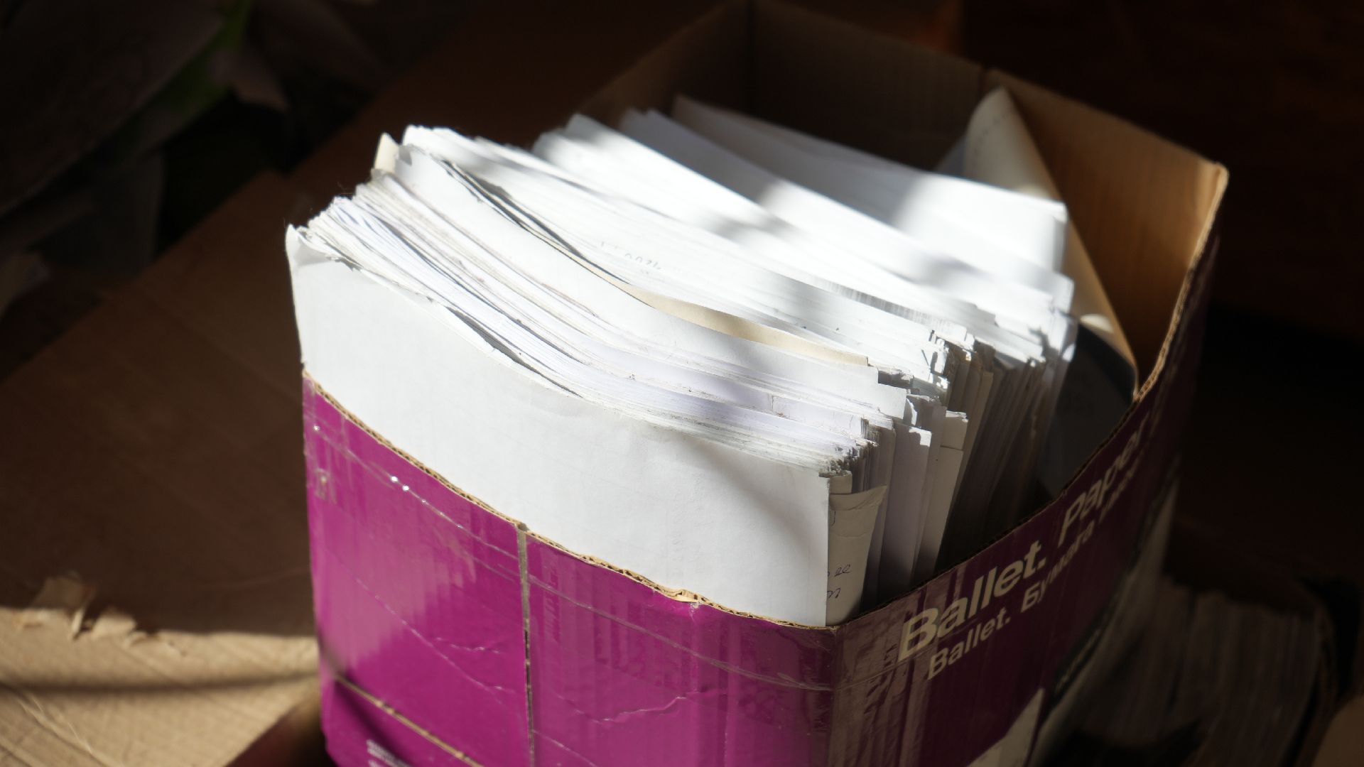 макулатура, сво,экологическая акция,